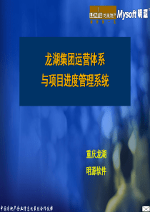 龙湖集团运营体系与项目进度管理系(32)页