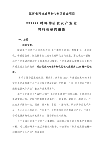 XXX产业化项目可行性报告