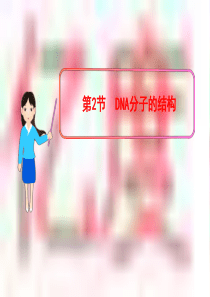 3.2《DNA分子的结构》课件6