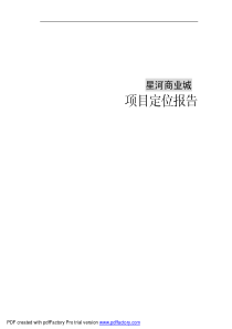 XX商业城项目定位报告