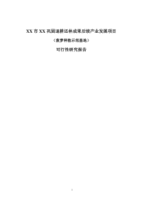 XX市XX镇巩固退耕还林成果后续产业发展项目(菠萝、花卉