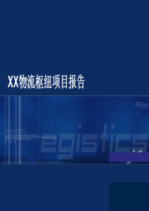 XX物流枢纽项目报告