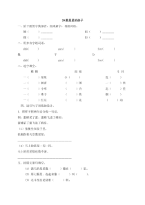 29数星星的孩子练习题