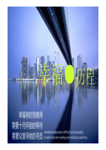 XX里项目结案总结分享（PDF113页）