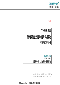 XX集团营销渠道控制力提升与强化咨询项目建议书（PPT 48页）