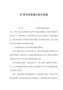 XX项目投资建议报告流程