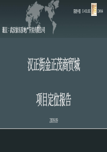 X年9月武汉汉正街金正茂商贸城项目653576719