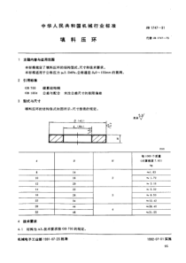 JB1747-1991_填料压环