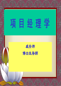 zxxx项目管理学(ppt250)