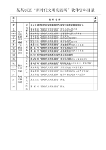 某某街道“新时代文明实践所”软件资料目录