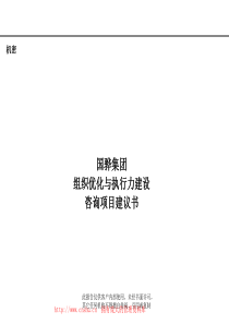 ××集团组织优化与执行力建设咨询项目建议书