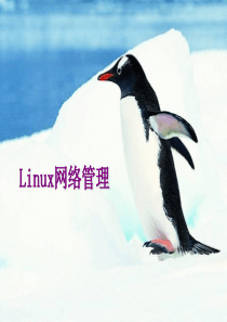 《Linux互联网技术》项目1 网络基本配置1