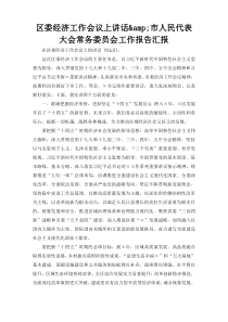 区委经济工作会议上讲话&市人民代表大会常务委员会工作报告汇报