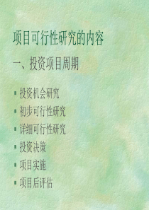 《投资项目可行性研究》