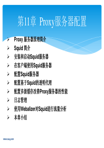 Linux从入门到提高-第11章--Proxy服务器配置