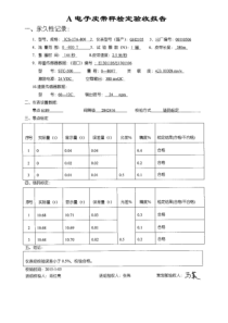 电子皮带秤检定验收报告（PDF50页）