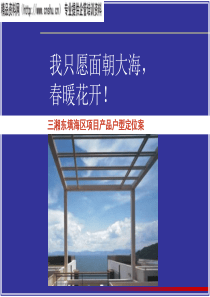 三湘填海区项目产品户型定位方案