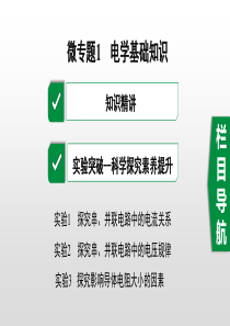中考物理专题复习---电学基础知识