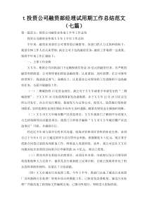 t投资公司融资部经理试用期工作总结范文（七篇）