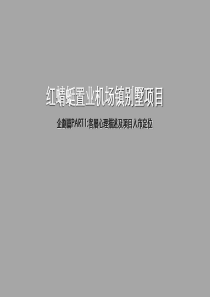 上海红蜻蜓臵业机场镇别墅项目广告推广报告_77P