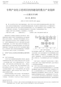 专利产业化示范项目扶持建设的重点产业选择