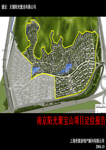 世联-南京阳光聚宝山别墅项目定位报告竞标77PPT-12M