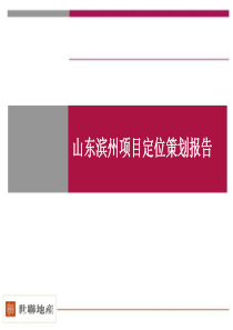 世联-山东省滨州市500亩项目地块产品定位-128ppt