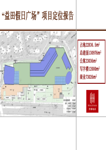 世联-深圳-益田假日广场综合体项目定位报告-71PPT