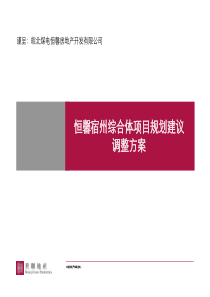 世联_安徽恒馨宿州综合体项目规划建议调整方案_60P