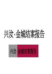 世联长沙兴汝金城城市综合体项目结案报告