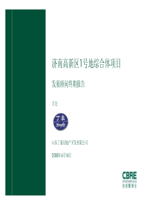 世邦魏理仕_济南高新区1号地综合体项目发展顾问终期报告_153P