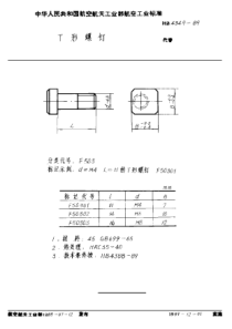 HB 4349-1989 T形螺钉