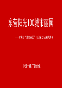 东营-阳光100-城市丽园-项目策动品牌方案-208PPT