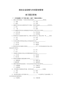 规划企业战略与市场营销管理