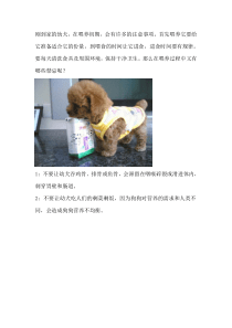 养狗必知：刚到家的幼犬喂养的四个禁忌