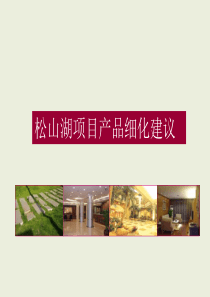 中原_东莞松山湖项目产品细化建议_28P