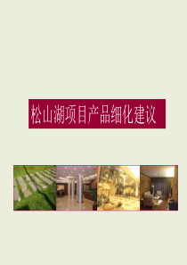 中原—松山湖项目产品细化建议 (NXPowerLite)