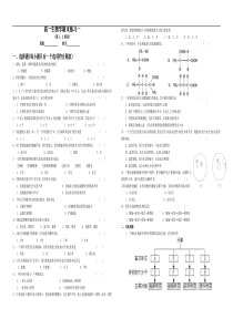 高一生物上学期学综合练习