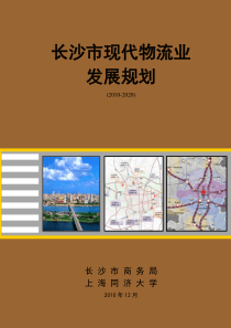 长沙市现代物流业发展规划XXXX-2020(A4)(1)