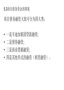 项目投资融资课件ch53项目债务资金筹集