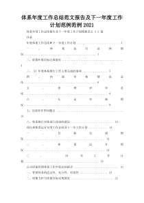 体系年度工作总结范文报告及下一年度工作计划范例范例2021