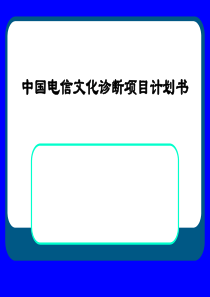 中国电信文化诊断项目计划书(PPT 47)(2)