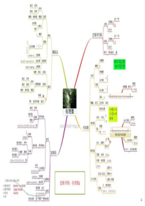 初一数学上思维导图