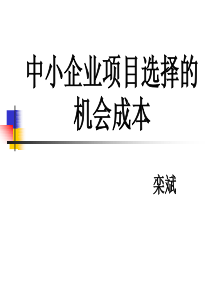 中小企业项目选择的机会成本（经贸）ppt-中小企业项目选