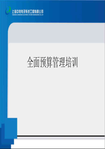 电子系统工程有限公司全面预算管理培训(PDF79页)