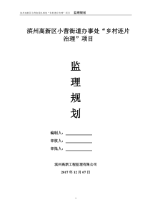 乡村连片治理项目监理规划