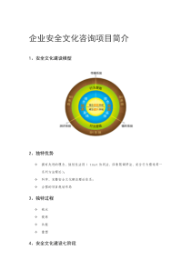 云帆沧海安全文化咨询项目简介