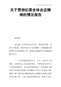 关于贯彻纪委全体会议精神的情况报告