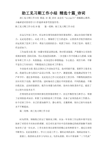 助工见习期工作小结 精选十篇诗词