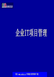 企业IT项目管理(ppt 324)(2．25MB)